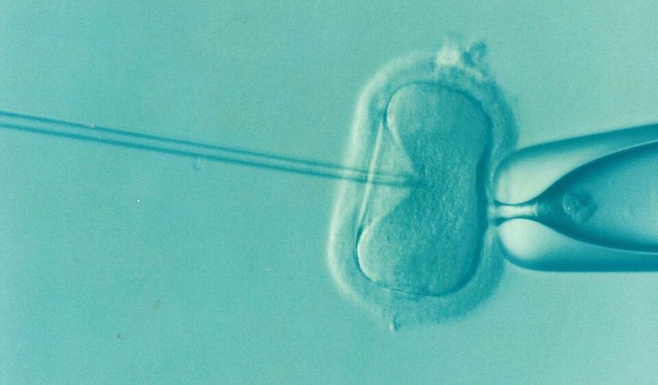 Understanding Infertility Treatment Options for Women Over 35