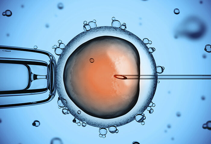 Diagnostic Tests to Schedule Before Undergoing IVF