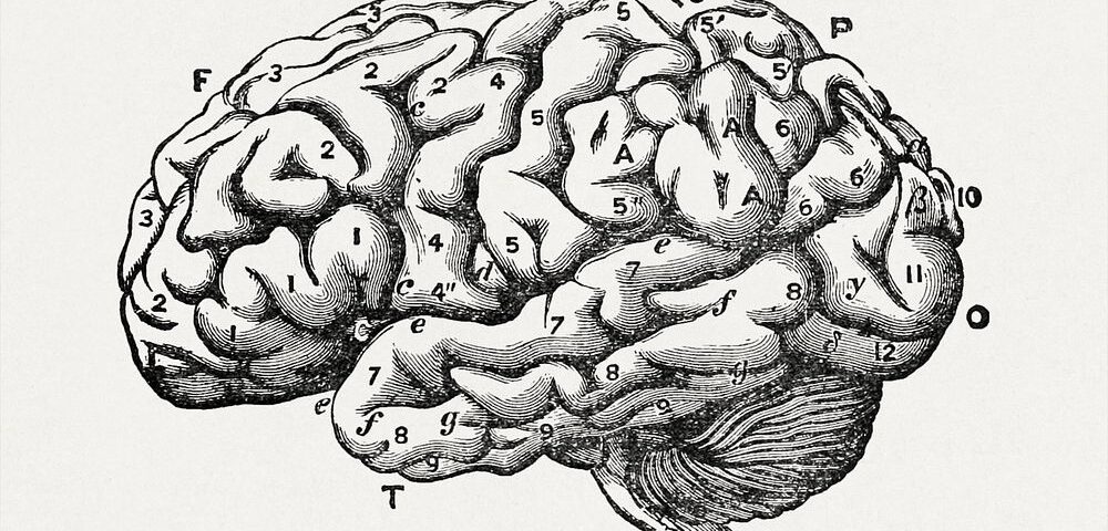 The Intersection of Pediatric Neurology and Mental Health