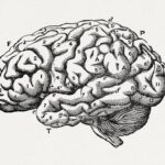 The Intersection of Pediatric Neurology and Mental Health
