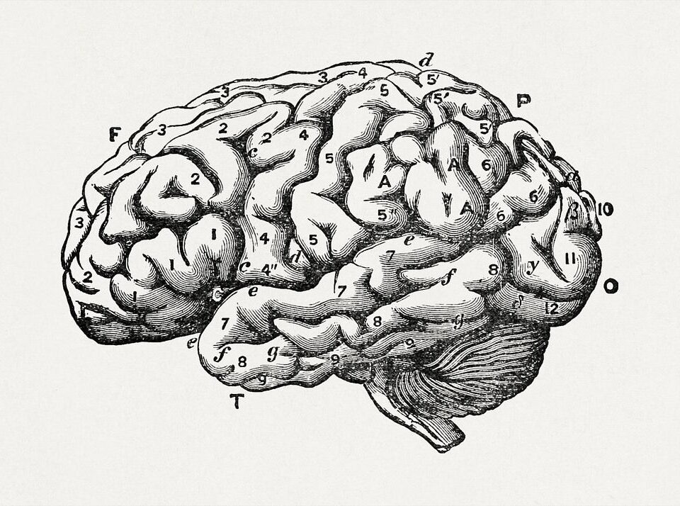 The Intersection of Pediatric Neurology and Mental Health