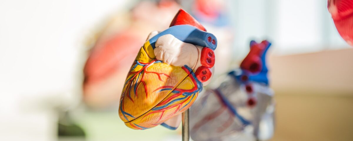 The Link Between Vascular Disease and Lifestyle Choices