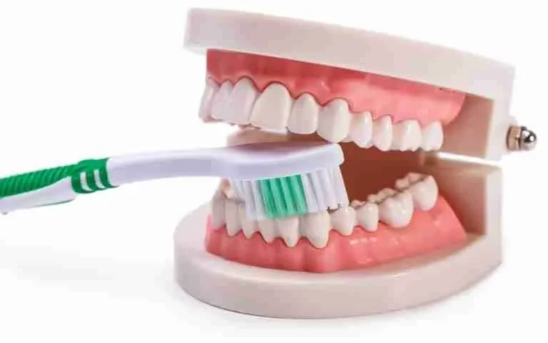 Tips for Longevity and Comfort for Dentures