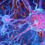 Common Questions About Nerve Blocks