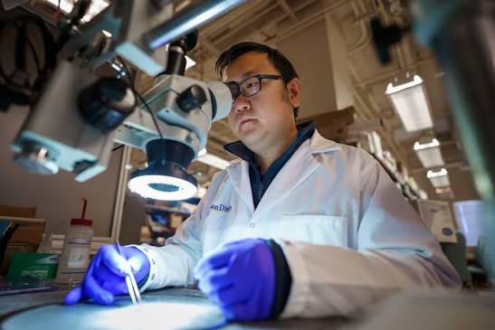 How Echocardiograms Help Monitor Heart Health Over Time