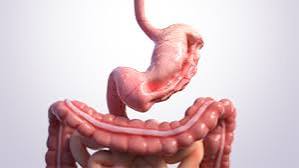 Pelvic Floor Dysfunction and Its Impact on Daily Life