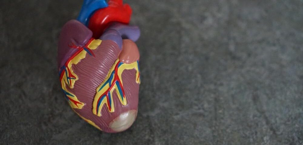 How Cardiologists Approach Heart Disease Treatment