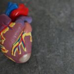 How Cardiologists Approach Heart Disease Treatment