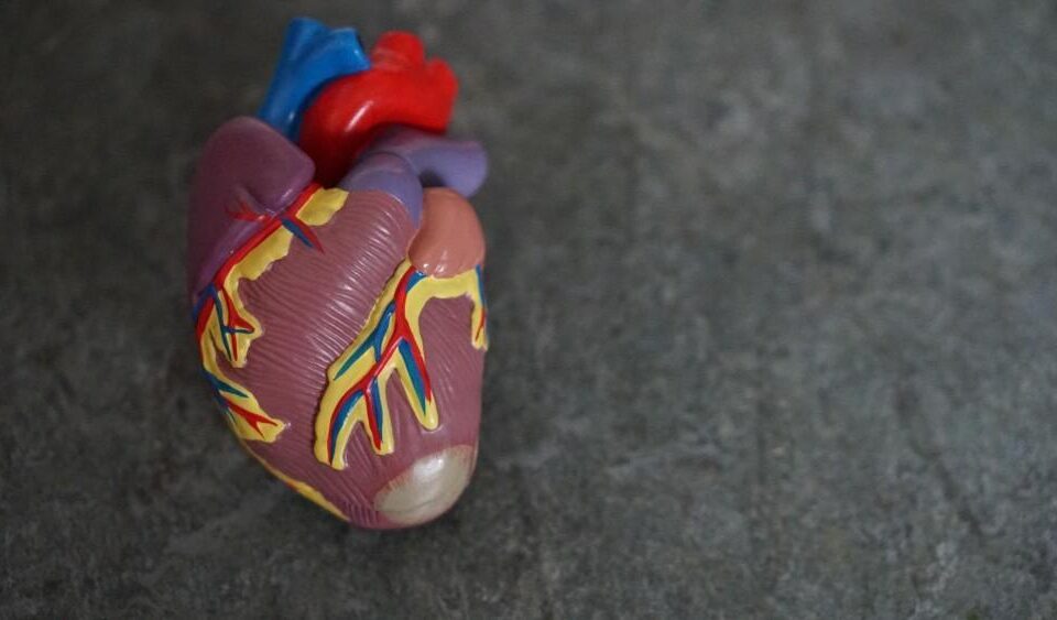 How Cardiologists Approach Heart Disease Treatment