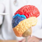 How to Choose the Right Neurologist for Your Needs