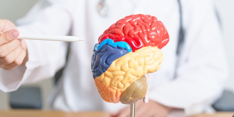 How to Choose the Right Neurologist for Your Needs